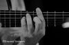 Nazwa pliku=Al_Di_Meola_8_JwM_2015_KSZ_5598_czb.JPG
Rozmiar=64KB
Rozmiar=600x399
Data dodania=19 czerwca 2015 Al_Di_Meola_8_JwM_2015_KSZ_5598_czb.JPG