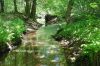 ksza_31_DSC_4503.jpg