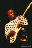 ksza_BuddyGuy_017_0030_1.jpg